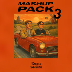 SVENSKA MASHUP-PACK 3 (2025)