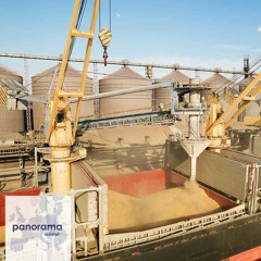 Europe under strain from Ukrainian grain | Panorama podcast