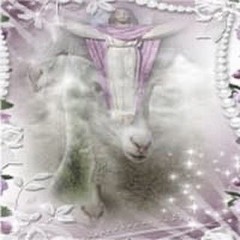 fariies do exiist —/()(- )glossalia(