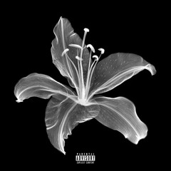 winter 2 [prod. noevdv]