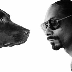 Snoop's Path of Fame - Thc Abd Concept