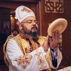 The Litanies - Fr. Boktor Nessim | ابونا بقطر نسيم - الأواشي