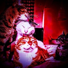 Vince of Zamunda 4 Panzerschokolade 29