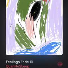 Feelings Fade QuanNoSLeep (Master)