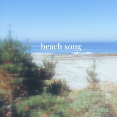 beach song - Hollow Road