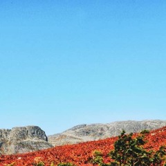 HK_Free_Sets/Mixes/Live_20