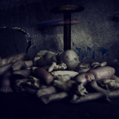 dolls limbs museum: peeking through a porcelain soul