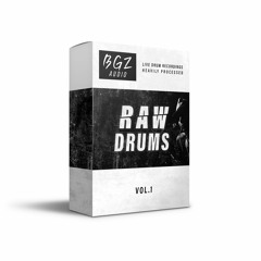BGZ - RAW Drums Vol.1 (DEMO SONGS)