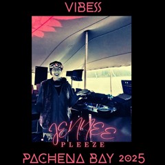 VIBES✨ PACHENA BAY 2025