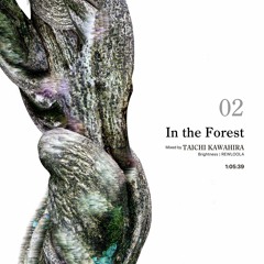 In the Forest - 02