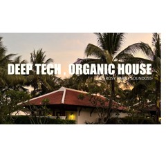 Deep Tech Organic MIx 2024
