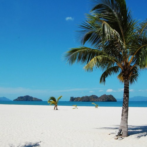 Alcaldía background sleep music FREE DOWNLOAD