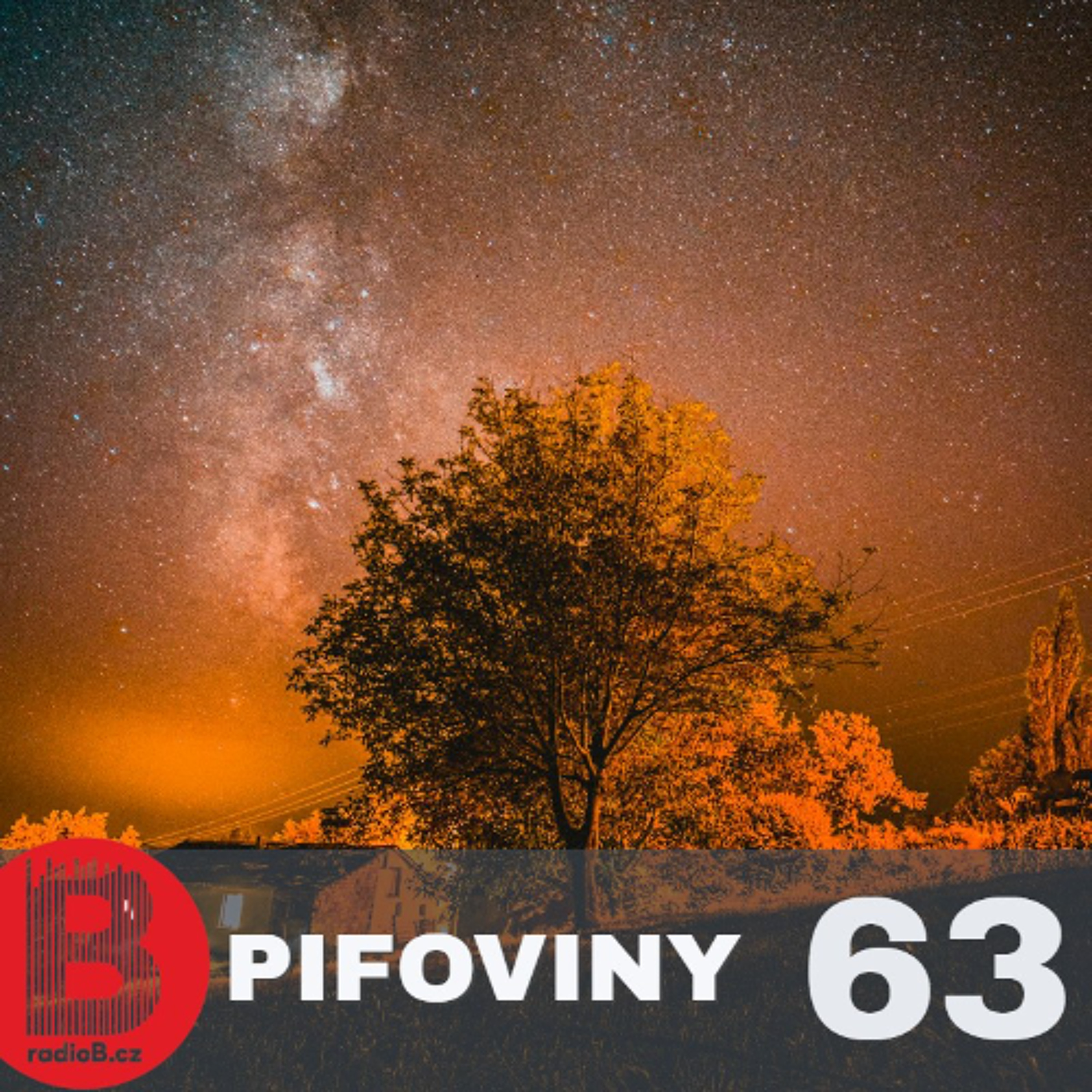 Pifoviny #63 Soulful  11/2024 episode artwork
