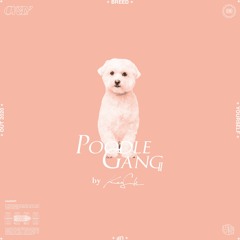 Poodle Gang #03