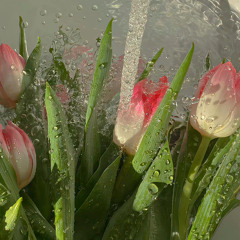 葛东琪 - 悬溺前奏 (slowed & reverb) x0.8