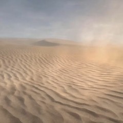 Sampling Kid - Zealous Sandstorm