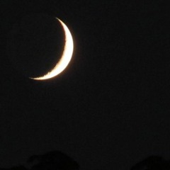 mare tranquillitatis