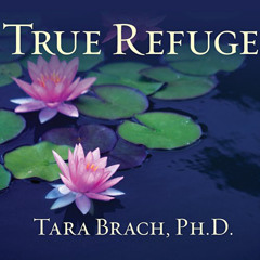 [Free] PDF 📃 True Refuge: Finding Peace and Freedom in Your Own Awakened Heart by  T