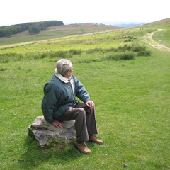 I Wandered Lonely As a Cloud