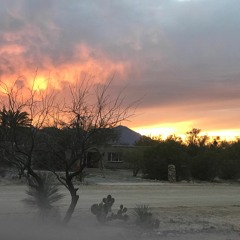 Artifact VIII - 7-14 - 2024