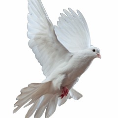 world _gets _cold_synthetic_yurms