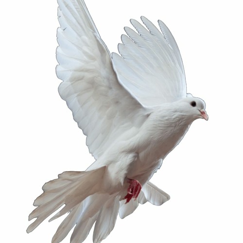 world _gets _cold_synthetic_yurms