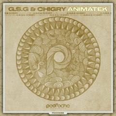 G.S.G, Chigry - Animatek (Original Mix)