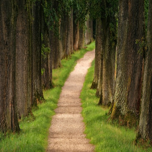 Show Me Your Way