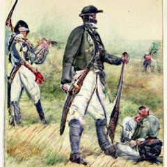 echos of a yankee rebel