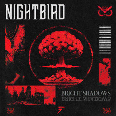 Nightbird - Bright Shadows