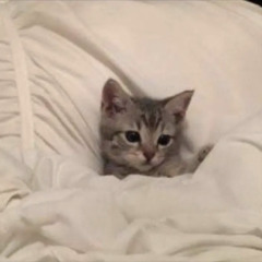 K Camp  FWYB -sped up-