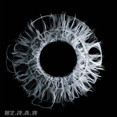 R.A.N -Gaiveu