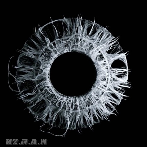 R.A.N -Gaiveu