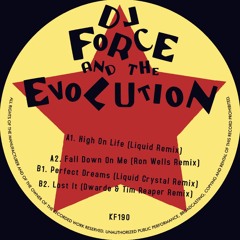 [KF190SE] DJ FORCE & THE EVOLUTION - REMIXES E.P.