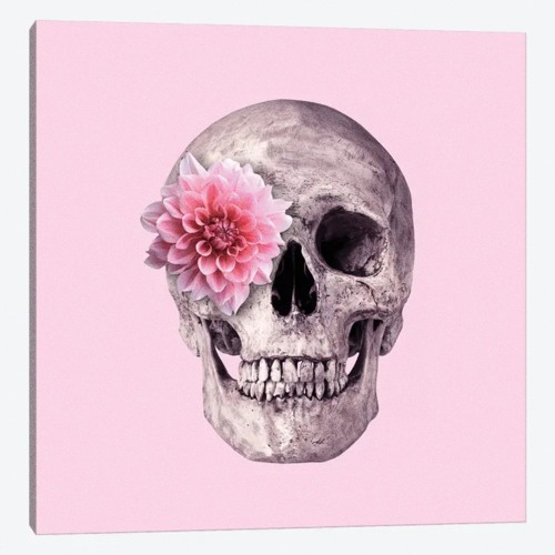 NuiHow - La vie en Rose (Ft. Only C)