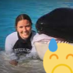 [NEW FULL] Jessica orca angriff jessica orca attack orca attack jessica radcliffe jessica radcliffe attack full twitter