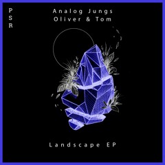 Analog Jungs, Oliver & Tom - Landscape (RIGOONI Remix)