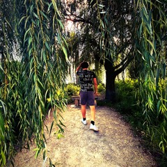 kingdomcome