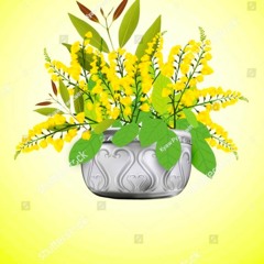 Note Tote Mae Thwar Mal/ Gae Gae + Swe Zin Htet (ငုတ်တုတ်မေ့သွားမယ်) Flashback - Mashup