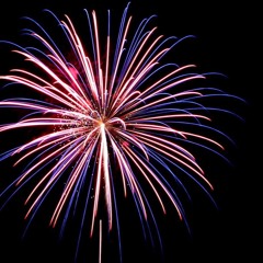 MJ Live @ PA's NYE 20-21 7pm - 9pm