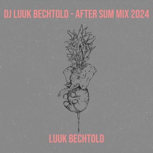 Dj Luuk Bechtold - After Sum Mix 2024