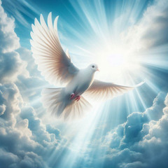 Crown of righteousness