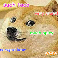 STEELUS - TACO BELL