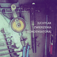 hk_calm-steady_tracks_501