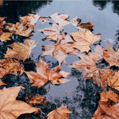 Requiem for Autumm
