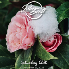 Saturday Chill - November 29, 2025 - DJ Jules Scott Stream Mix