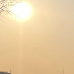 イカロス (remastered_20260320)