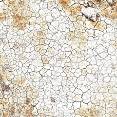 Techno Tea Party Closing @ Camp WWIT, Black Rock City, 2025-08-29