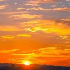 By The Sunrise (Dawn Chorus)