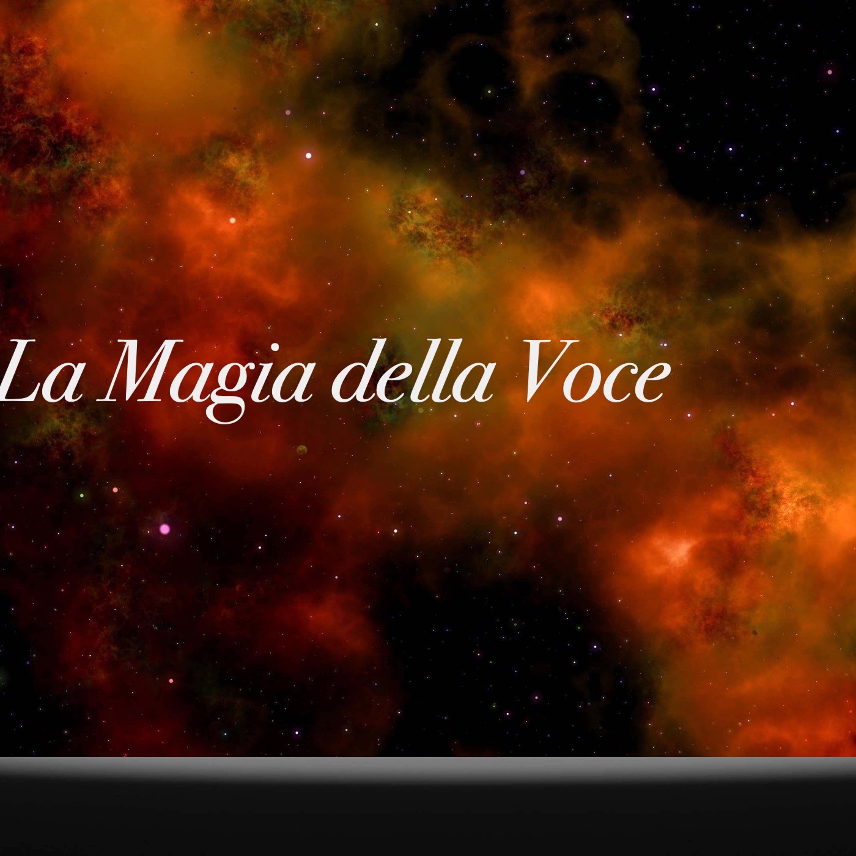 Vita da speaker